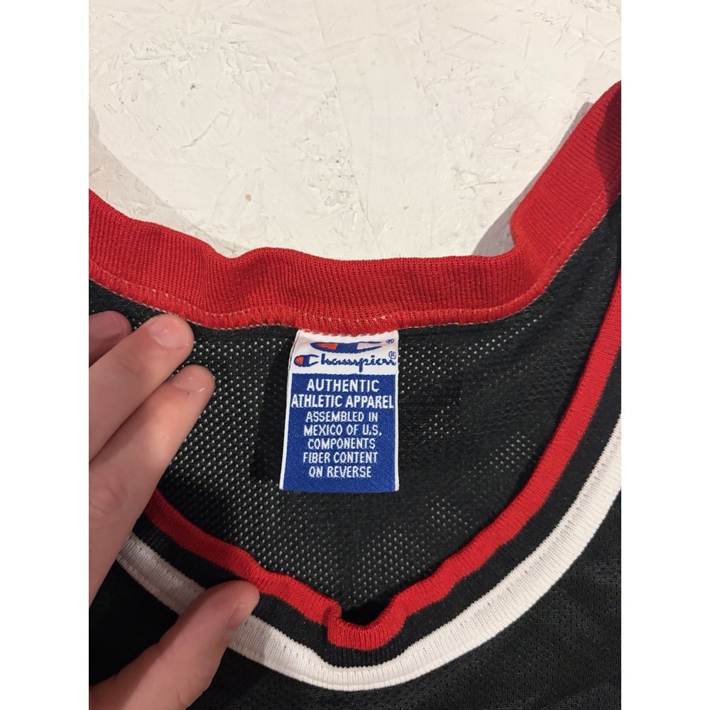 Vintage Champion Chicago Bulls Scottie Pippen Basketball Jersey Size‎ 44 NBA - Picture 7 of 11